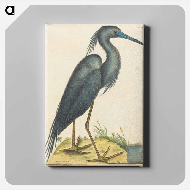 アートパネル-The Blue Heron
 - マーク ケイツビー Canvas.