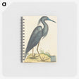 1-4_Mark-Catesby_memo