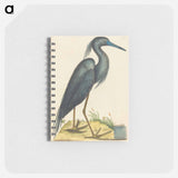 アートメモ帳-The Blue Heron
 - マーク ケイツビー Memo.