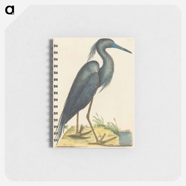 アートメモ帳-The Blue Heron
 - マーク ケイツビー Memo.