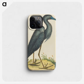 1-4_Mark-Catesby_phone