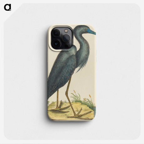 1-4_Mark-Catesby_phone