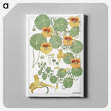 1-4_Maurice-Pillard-Verneuil_canvas