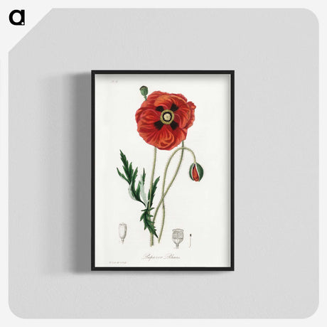 1-4_Medical-Botany_blk-crop