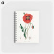 アートメモ帳-Papaver rhoeas Illustration
 - 薬用植物学 Memo.