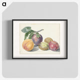 1-4_Michiel-van-Huysum_blk