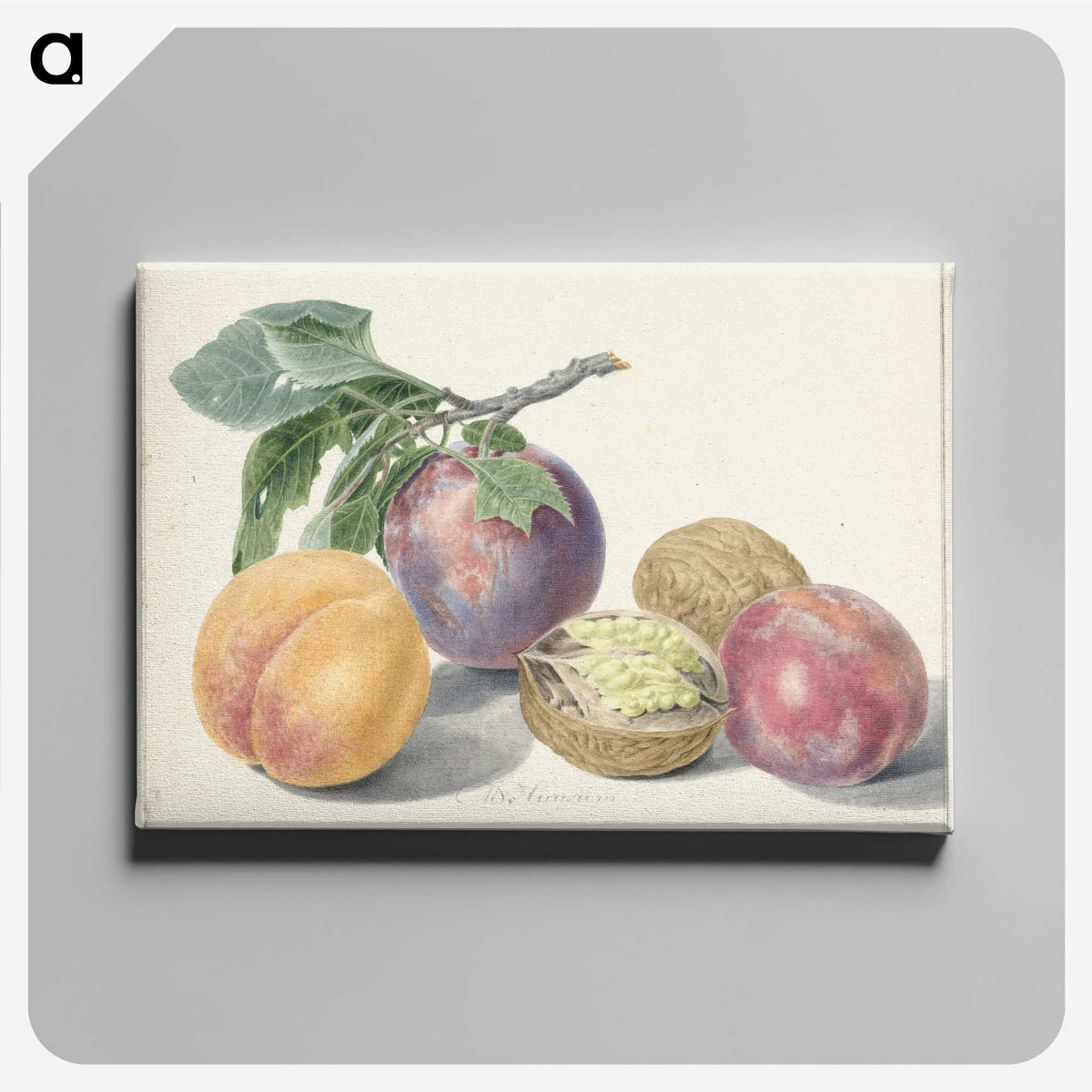 1-4_Michiel-van-Huysum_canvas