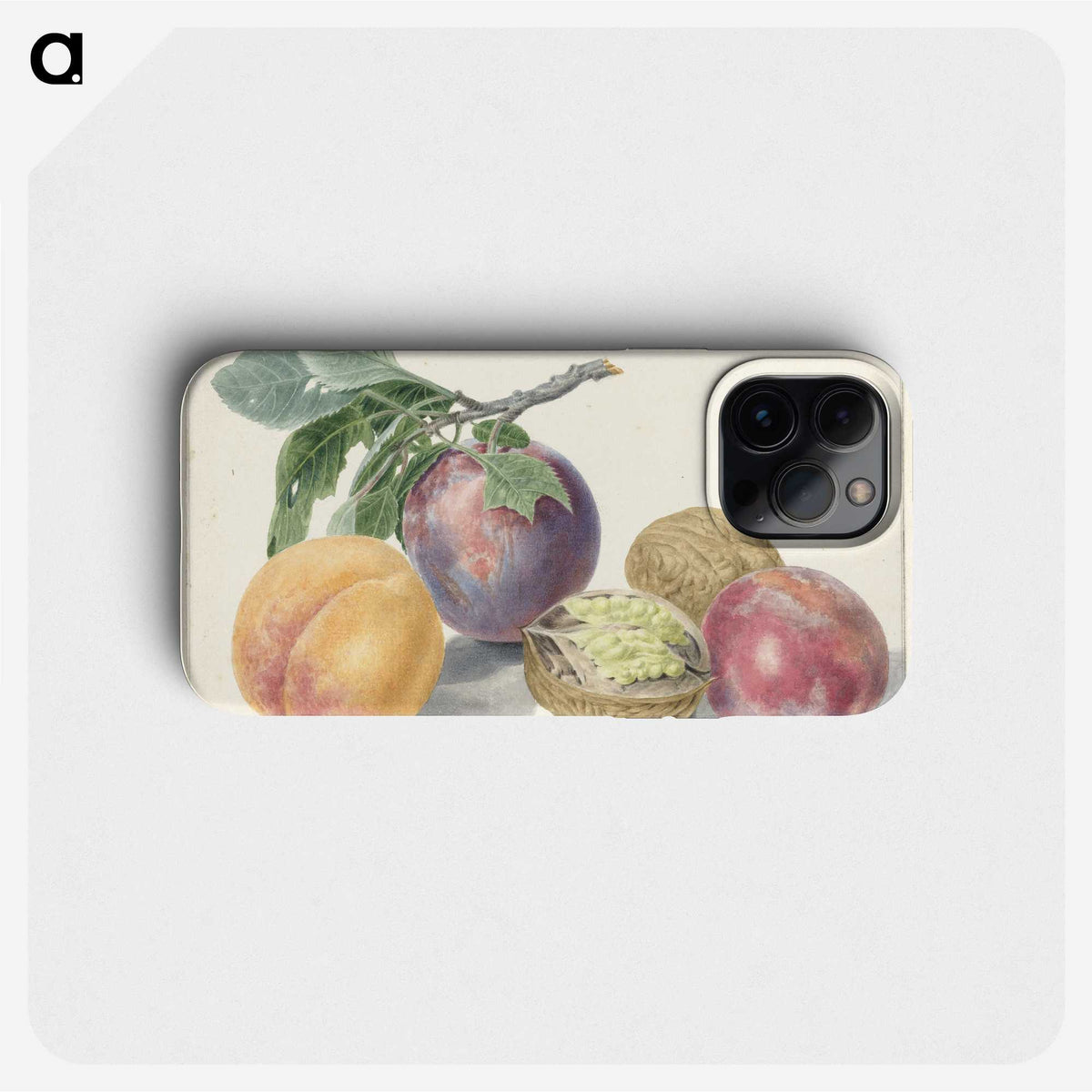 1-4_Michiel-van-Huysum_phone