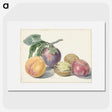 1-4_Michiel-van-Huysum_picture