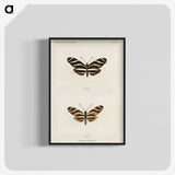 1-4_Moths-and-Butterflies-of-the-United-States_blk-crop