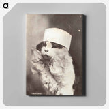 アートパネル-Feline Nurse in Costume
 - 国立医学図書館 Canvas.