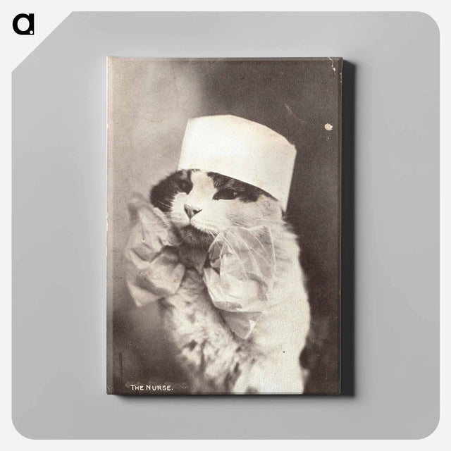 アートパネル-Feline Nurse in Costume
 - 国立医学図書館 Canvas.