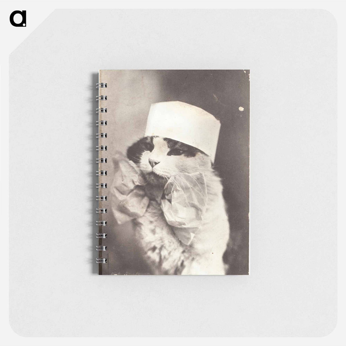 アートメモ帳-Feline Nurse in Costume
 - 国立医学図書館 Memo.