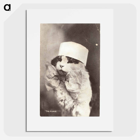 アートポスター-Feline Nurse in Costume
 - 国立医学図書館 Poster.