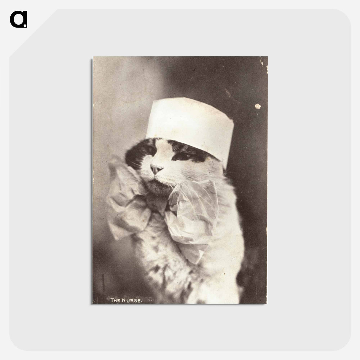 アートポストカード-Feline Nurse in Costume
 - 国立医学図書館 Postcard.
