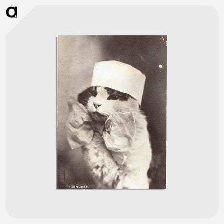 アートポストカード-Feline Nurse in Costume
 - 国立医学図書館 Postcard.