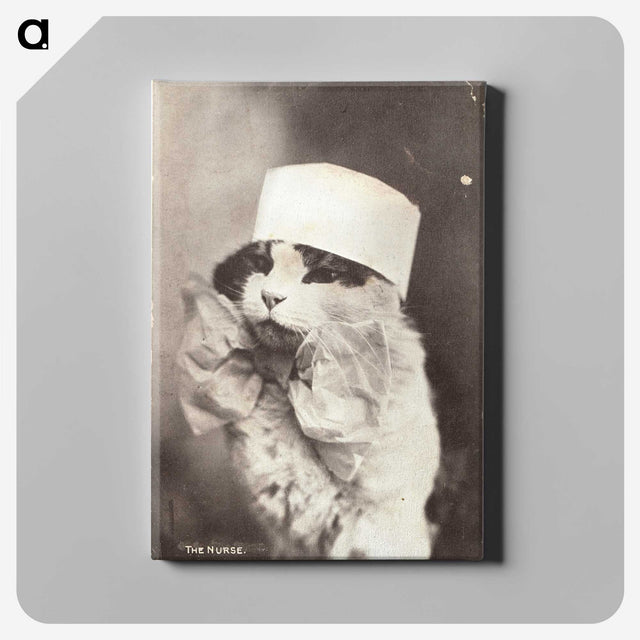 1-4_National-Library-of-Medicine_canvas
