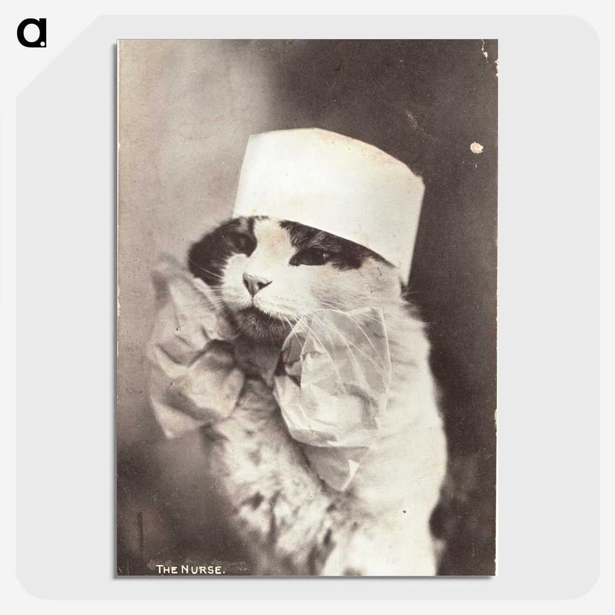 1-4_National-Library-of-Medicine_picture-crop