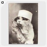 1-4_National-Library-of-Medicine_picture-crop