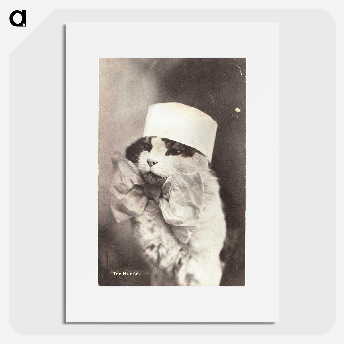 1-4_National-Library-of-Medicine_picture