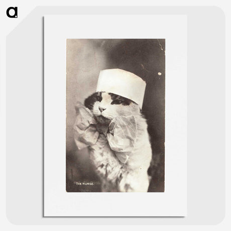 1-4_National-Library-of-Medicine_picture