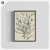 1-4_Native-Flowering-Plants-of-New-Zealand_blk-crop