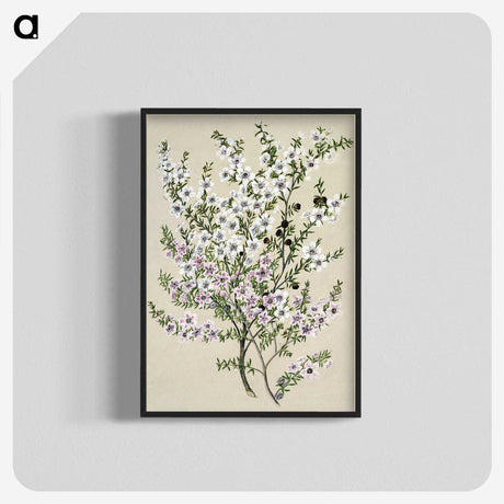 1-4_Native-Flowering-Plants-of-New-Zealand_blk-crop