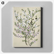 1-4_Native-Flowering-Plants-of-New-Zealand_canvas