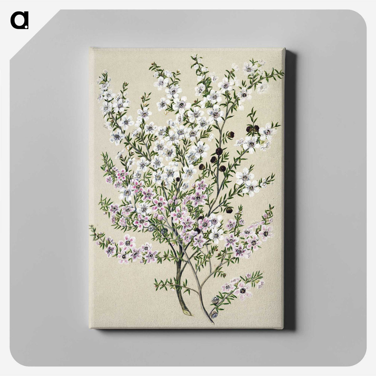 1-4_Native-Flowering-Plants-of-New-Zealand_canvas