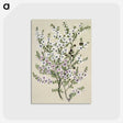 1-4_Native-Flowering-Plants-of-New-Zealand_postcard