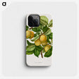 1-4_Nederlandsche-Flora-en-Pomona_phone