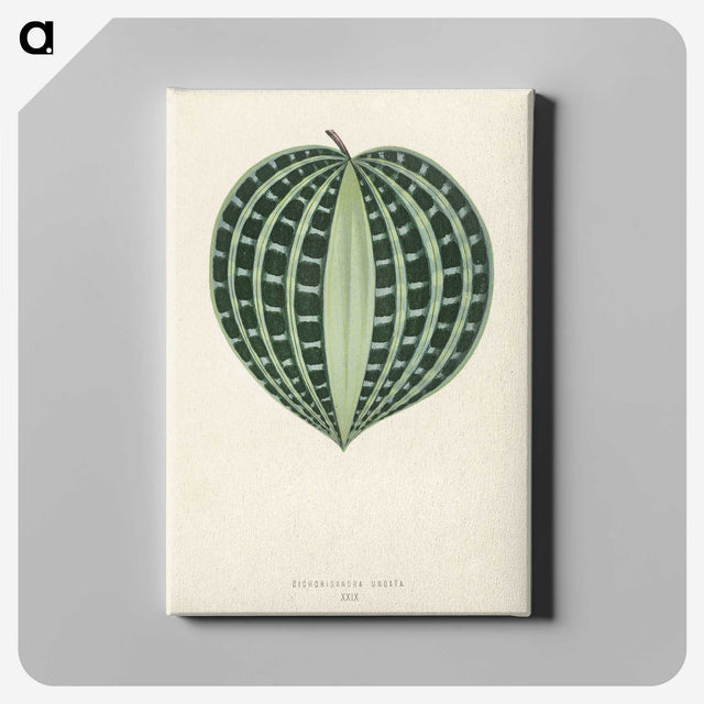 1-4_New-and-Rare-Beautiful-Leaved-Plants_canvas