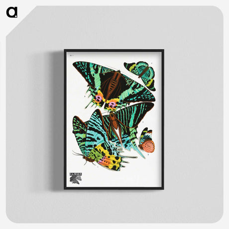 1-4_Papillons_blk-crop