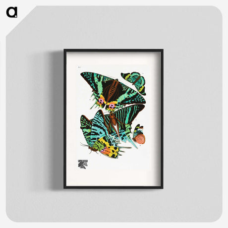 1-4_Papillons_blk