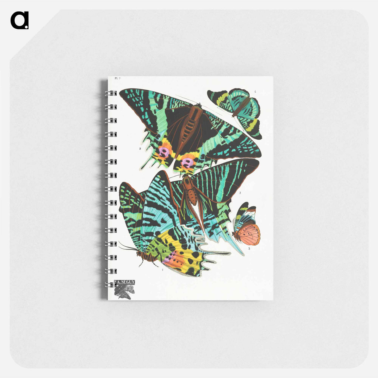 アートメモ帳-Vintage Butterflies
 - パピヨン Memo.