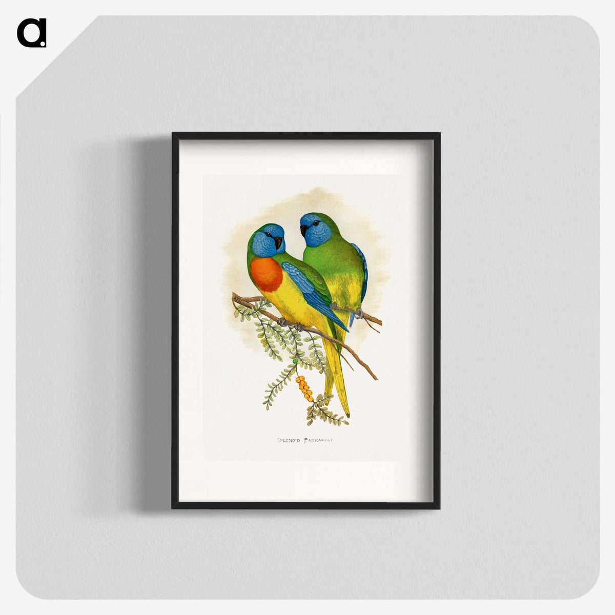 1-4_Parrots-in-Captivity_blk
