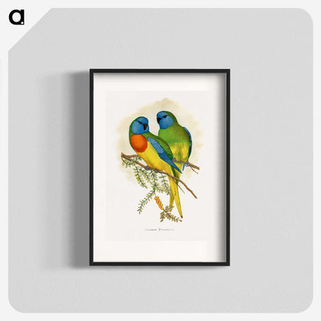 1-4_Parrots-in-Captivity_blk