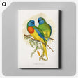 1-4_Parrots-in-Captivity_canvas