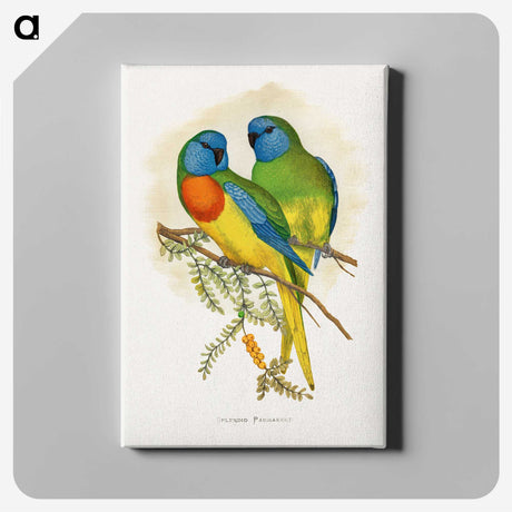 1-4_Parrots-in-Captivity_canvas