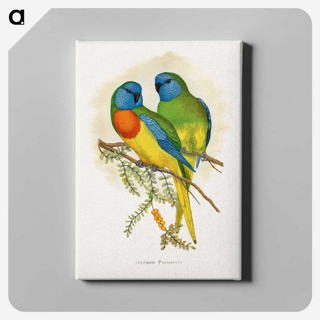 1-4_Parrots-in-Captivity_canvas