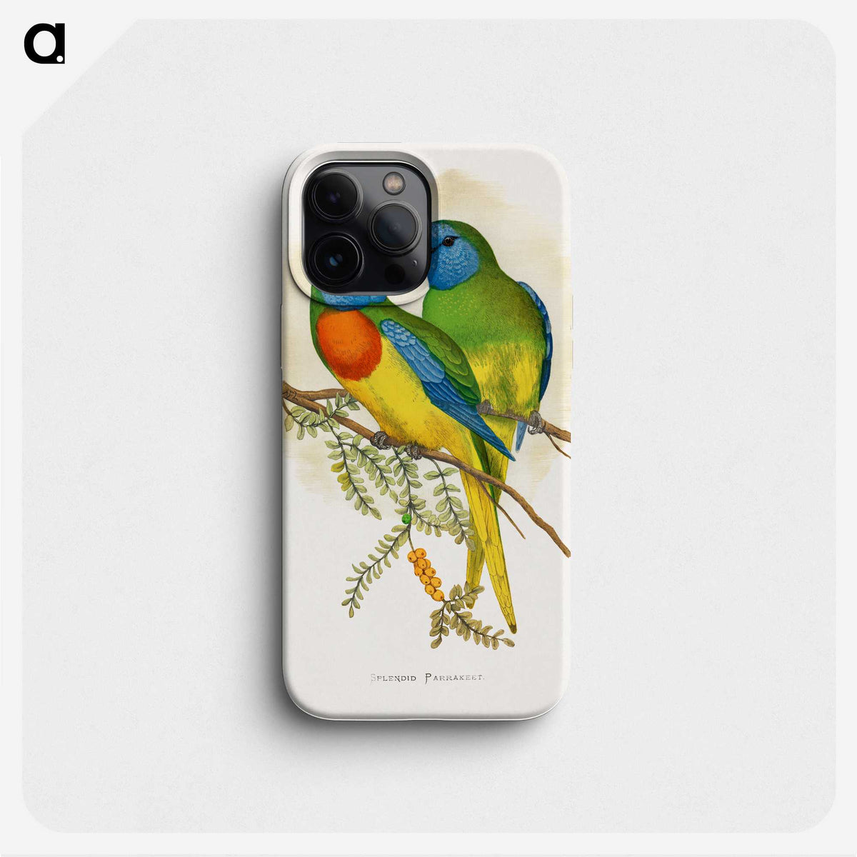1-4_Parrots-in-Captivity_phone