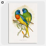 1-4_Parrots-in-Captivity_picture-crop