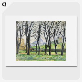 1-4_Paul-Cezanne_picture