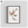 アートポスター-Crossbill Illustration
 - 鳥類図鑑 Poster.