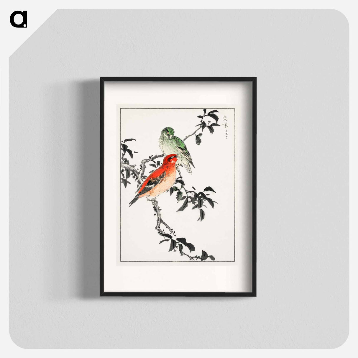 アートポスター-Crossbill Illustration
 - 鳥類図鑑 Poster.