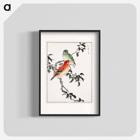 アートポスター-Crossbill Illustration
 - 鳥類図鑑 Poster.
