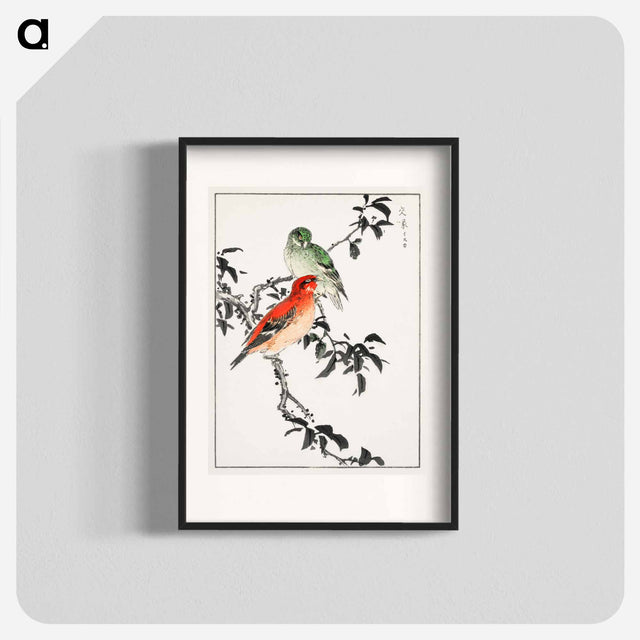 アートポスター-Crossbill Illustration
 - 鳥類図鑑 Poster.