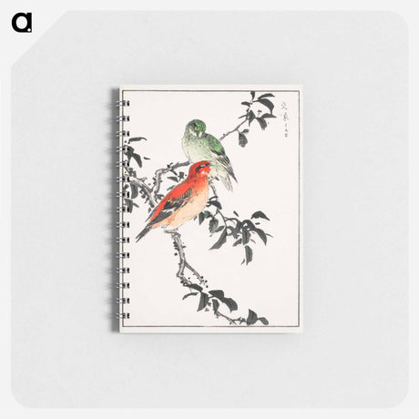 アートメモ帳-Crossbill Illustration
 - 鳥類図鑑 Memo.