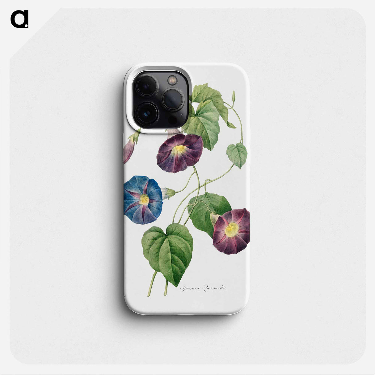 Star-glory Morning–glory - ピエール ジョゼフ ルドゥーテ Phone Case.
