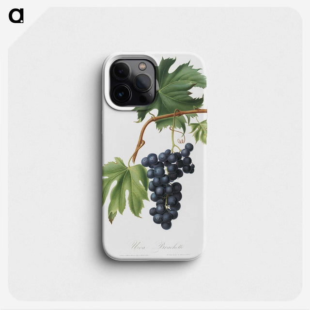 1-4_Pomona-Italiana_phone